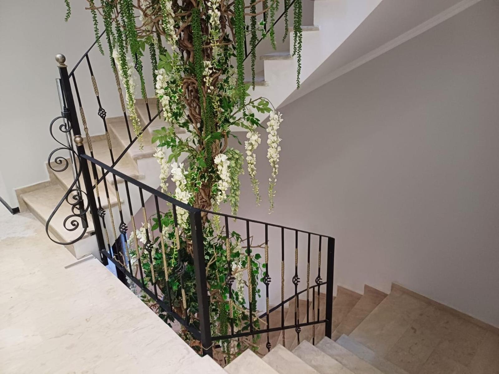 Oxygen Boutique Hotel Tiran Dış mekan fotoğraf